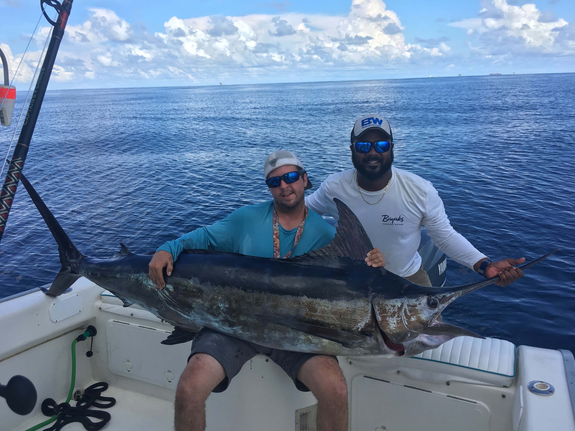 Blue Marlin Fish Mounts & Replicas by CoasttoCoast Fish Mounts